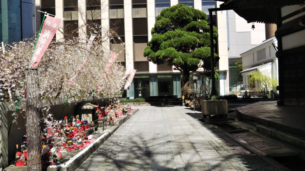 京都 六角堂　地蔵　桜